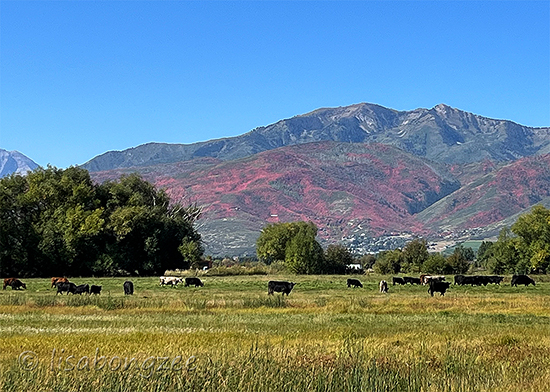 North Fields Heber Valley Utah