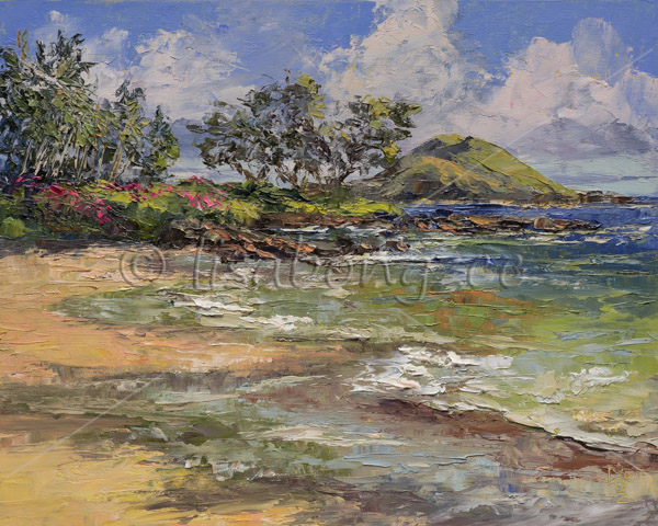 Polo Beach Maui