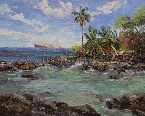Ahihi-Kinau Maui