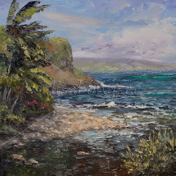 Honokohau Bay Maui