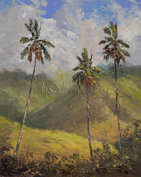 West Maui Mountains