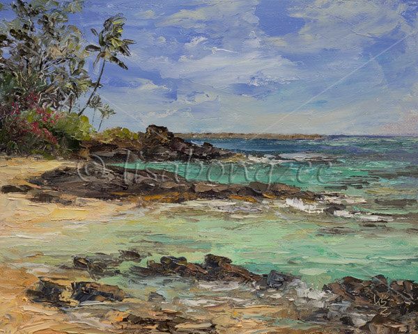 Makena Cove Maui