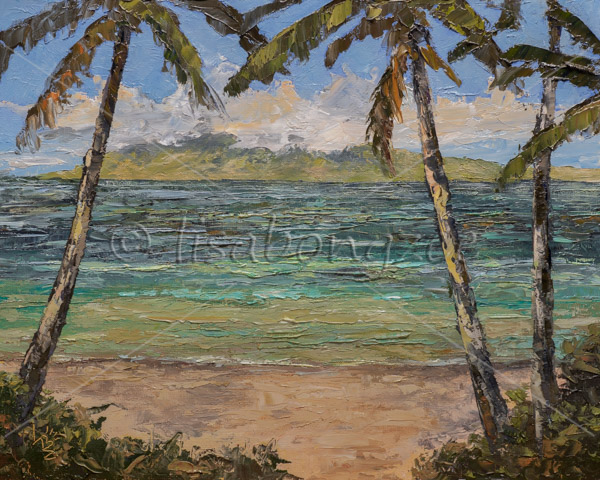 Napili Bay Maui