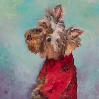 Yorkie In Red